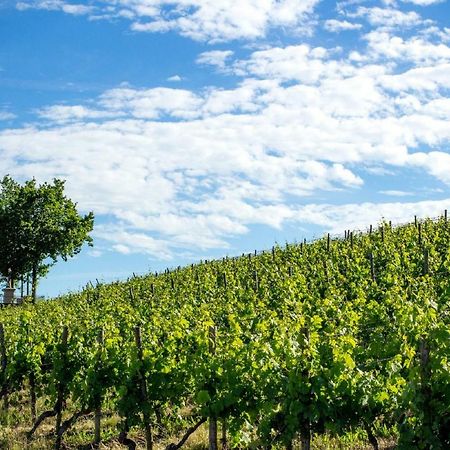 Weingut Knauer Lägenhet Dettelbach Exteriör bild